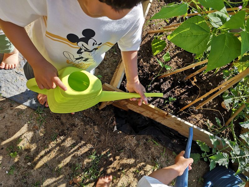 Micro-crèche Les Chérubins de Caissargues