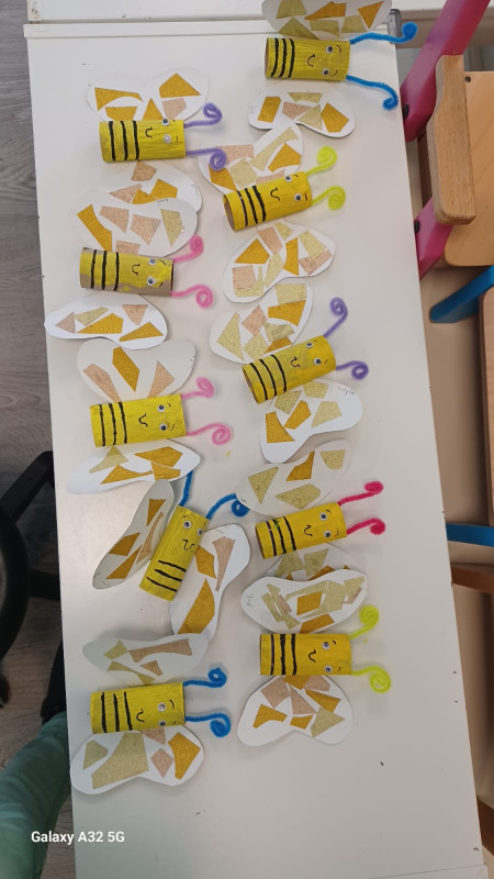 les Cherubins d 'Echirolles