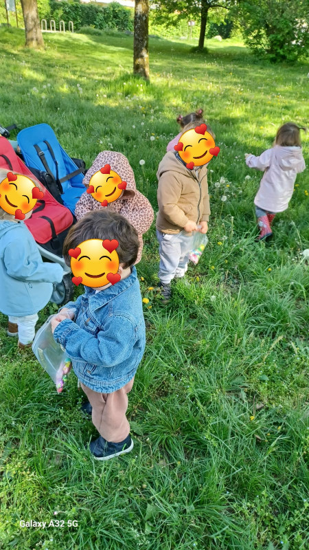 les Cherubins d 'Echirolles