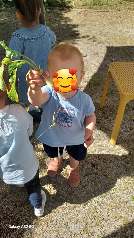 les Cherubins d 'Echirolles