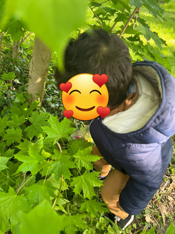 les Cherubins d 'Echirolles