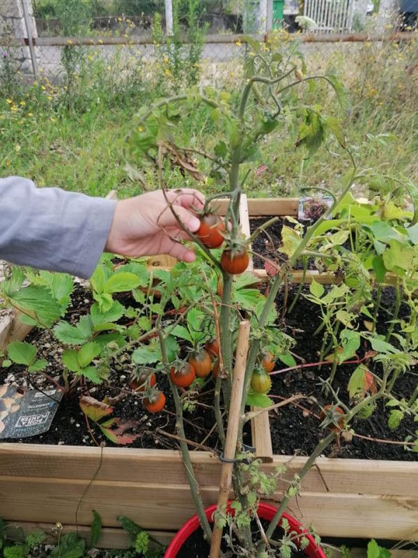 Micro-crèche Les Chérubins d'Echirolles