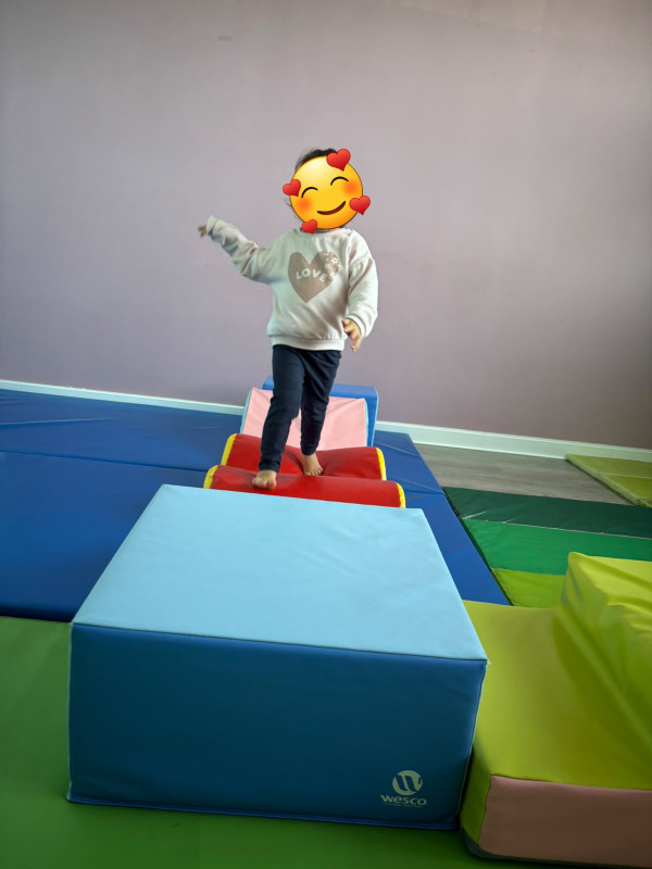 les Cherubins d 'Echirolles