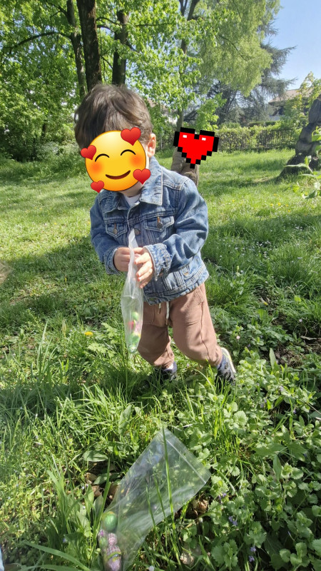 les Cherubins d 'Echirolles