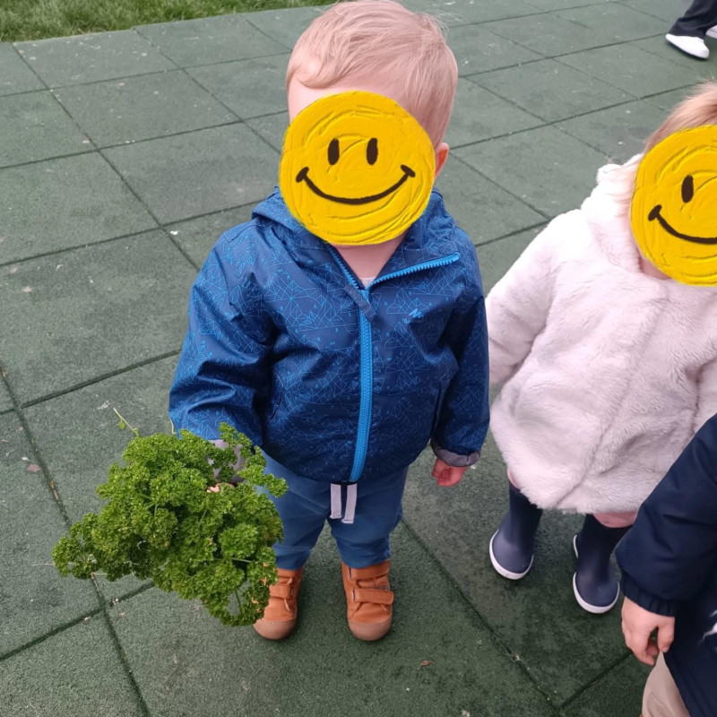 Les petites mains des Chérubins