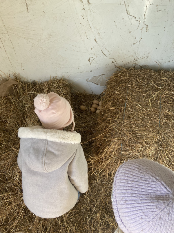 Les petites mains des Chérubins