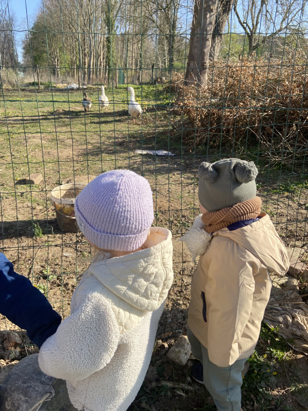 Les petites mains des Chérubins