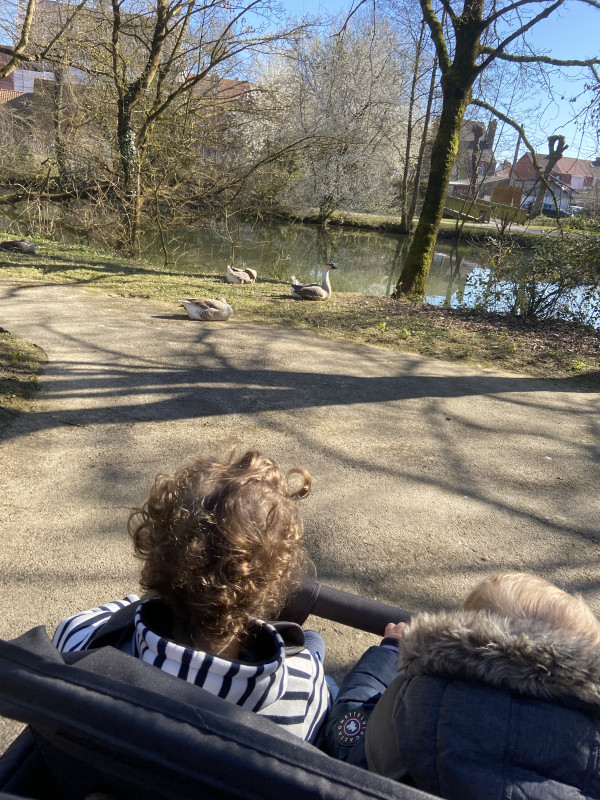 Les petites mains des Chérubins