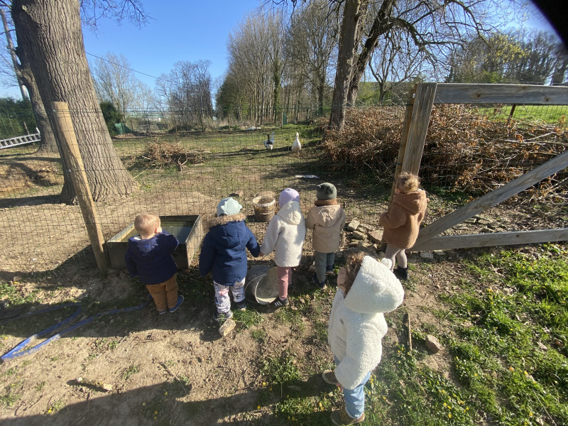 Les petites mains des Chérubins