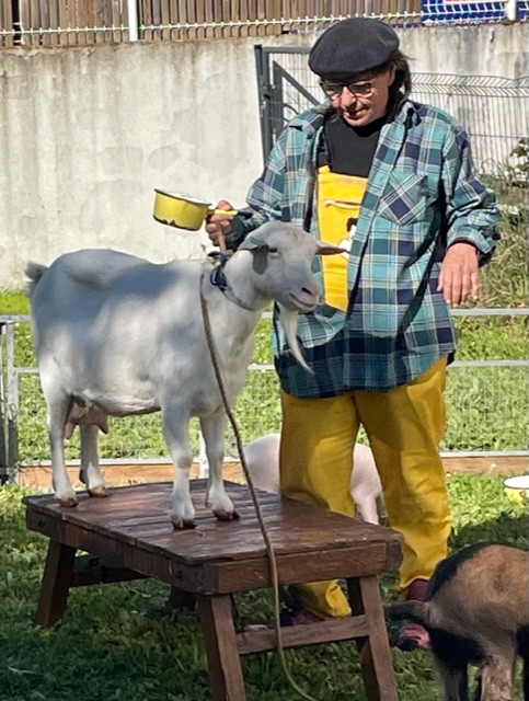 Micro-crèche Les Cherubins de La Rochelle