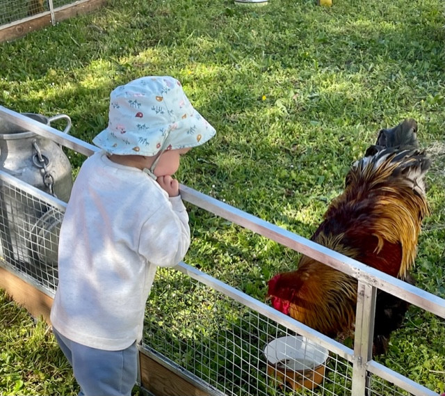 Micro-crèche Les Cherubins de La Rochelle