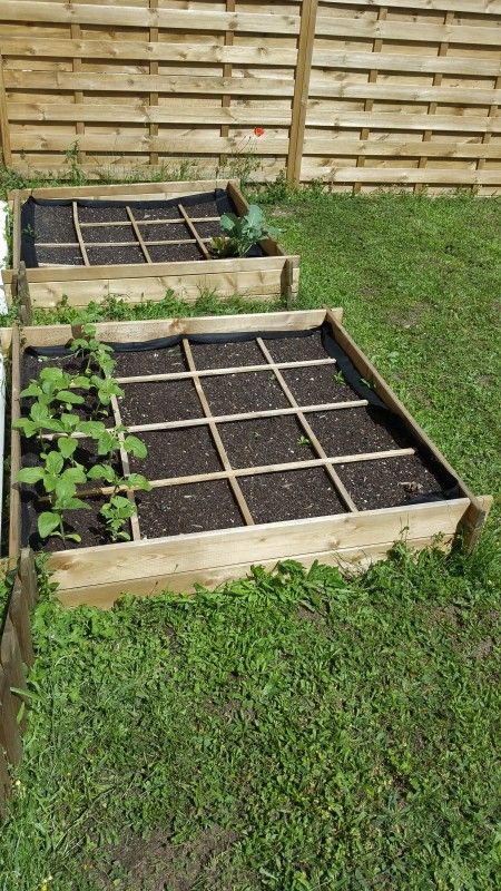 Micro-Crèche Le Jardin des P'tits Lutins