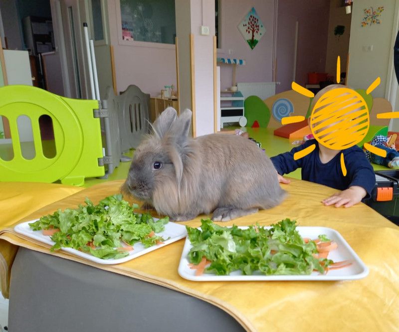 Micro-crèche les Chérubins de la Porte Vignoble