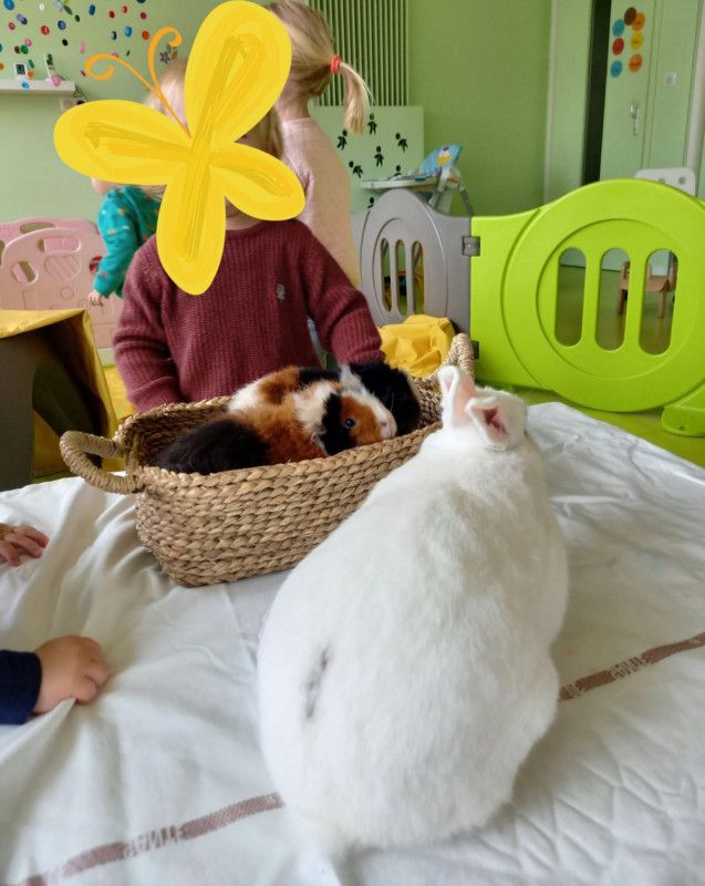 Micro-crèche les Chérubins de la Porte Vignoble