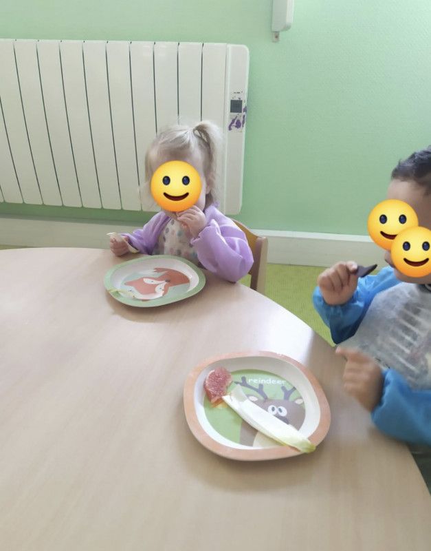 Micro Crèche Les Chérubins de Rouen