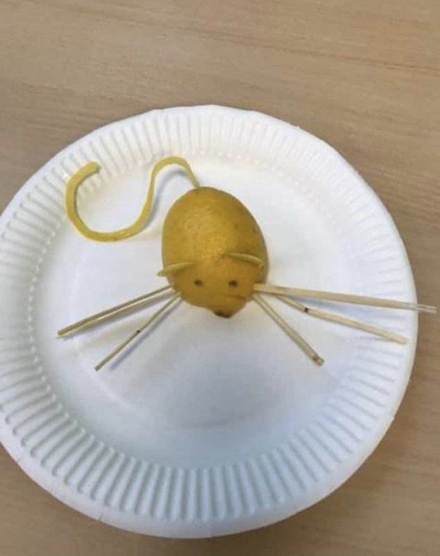 Micro Crèche Les Chérubins de Rouen