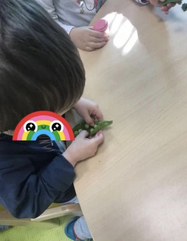 Micro Crèche Les Chérubins de Rouen