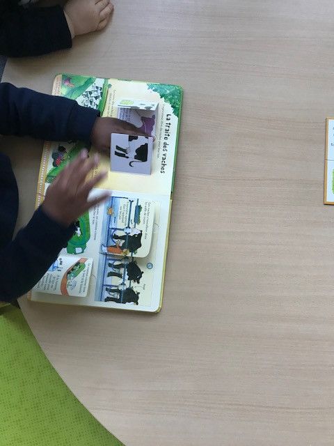 Micro Crèche Les Chérubins de Rouen