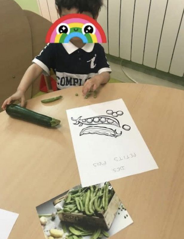 Micro Crèche Les Chérubins de Rouen