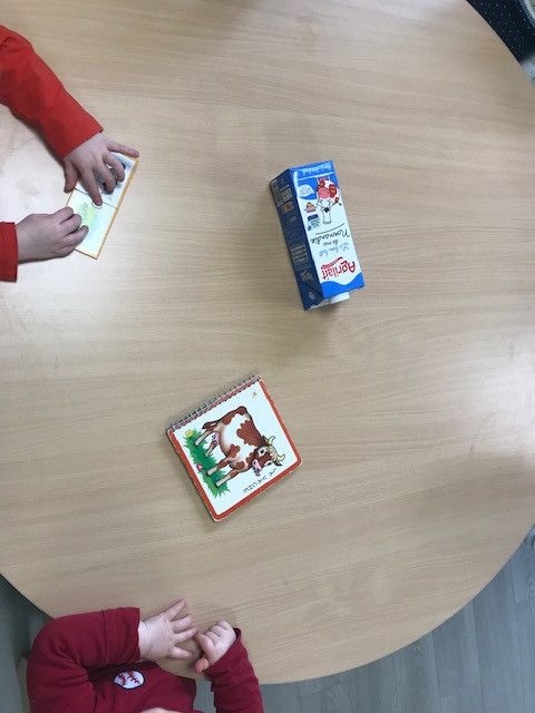 Micro Crèche Les Chérubins de Rouen