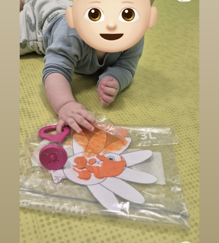 Micro-crèche Le Patio des Chérubins