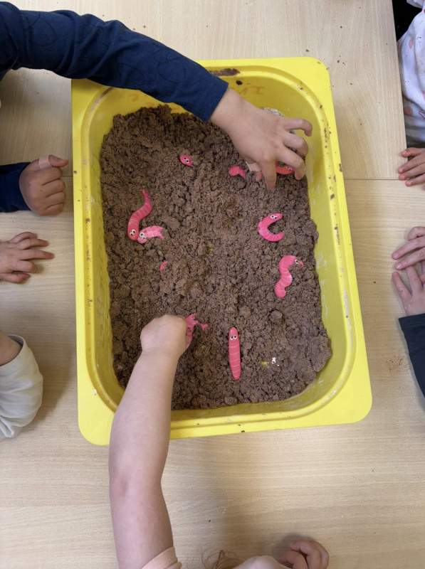 Micro-crèche Le Patio des Chérubins