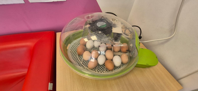 Micro-crèche Le Patio des Chérubins