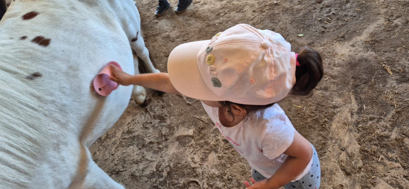 Micro-crèche Le Patio des Chérubins