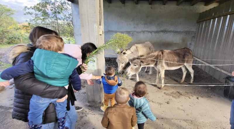 Micro-crèche Le Patio des Chérubins