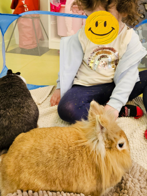 Micro-crèche Boucle d'or des Chérubins