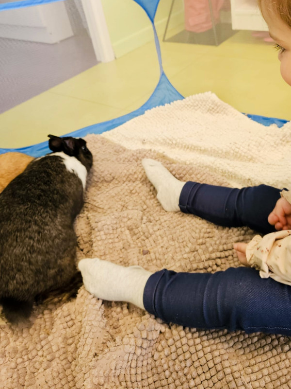 Micro-crèche Boucle d'or des Chérubins