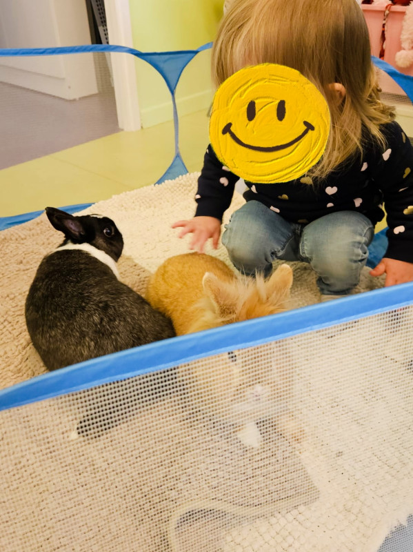 Micro-crèche Boucle d'or des Chérubins