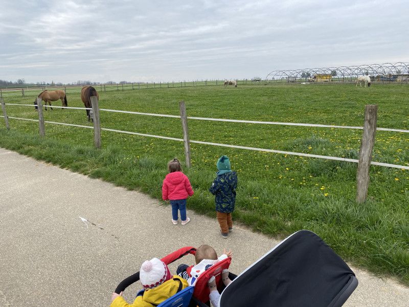 Micro-crèche Les Petits Pas Des Chérubins