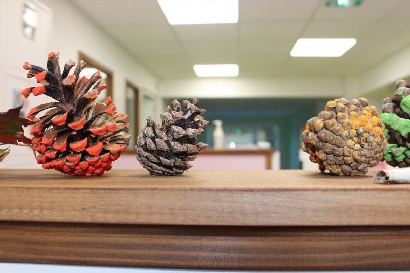 Micro-crèche Les 3 petits pas des chérubins