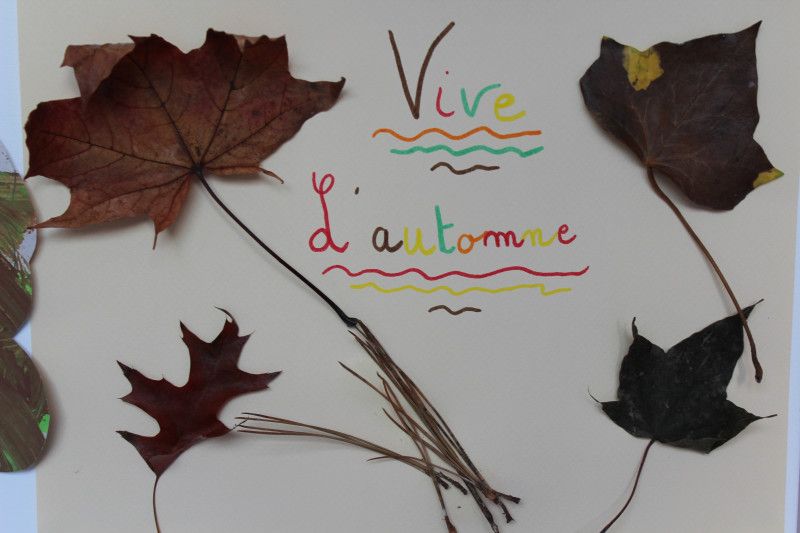 Micro-crèche Les 3 petits pas des chérubins