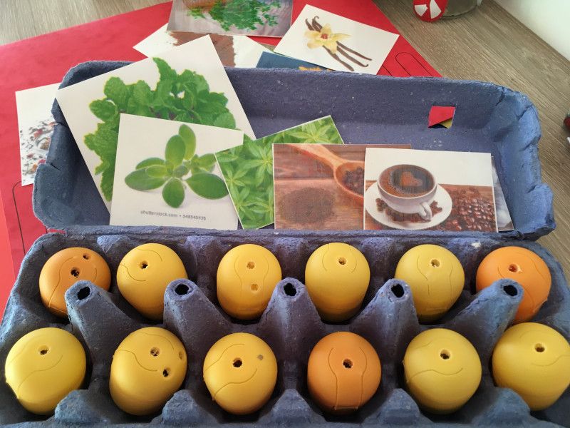 Micro Crèche LEs Chérubins d'Alès