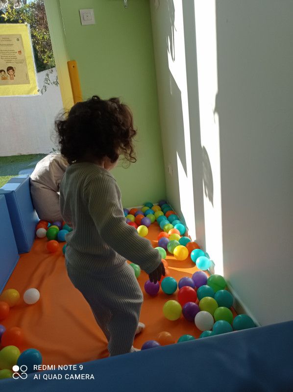 LES MERVEILLES DES CHERUBINS
