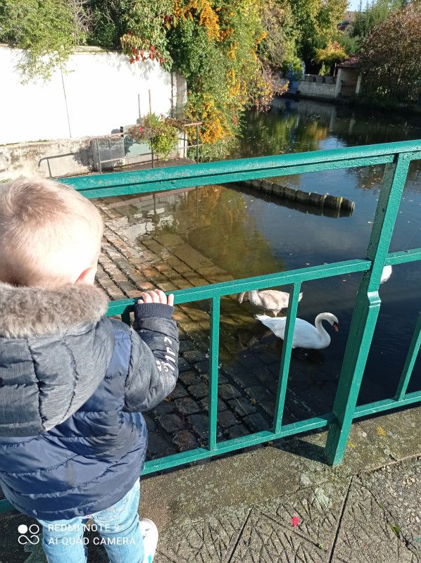 LES MERVEILLES DES CHERUBINS
