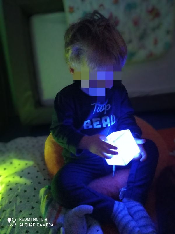 LES MERVEILLES DES CHERUBINS
