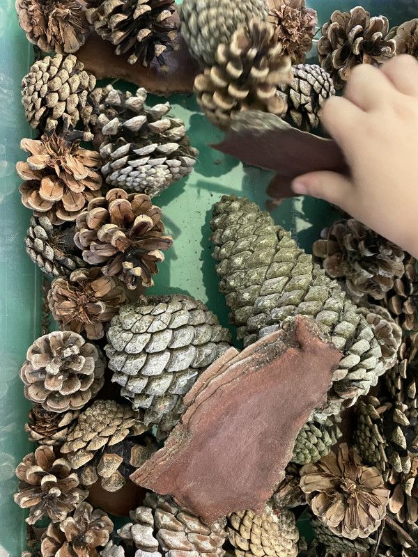 Micro-crèche L'Univers Magique des Chérubins - ZI Nantes Carquefou