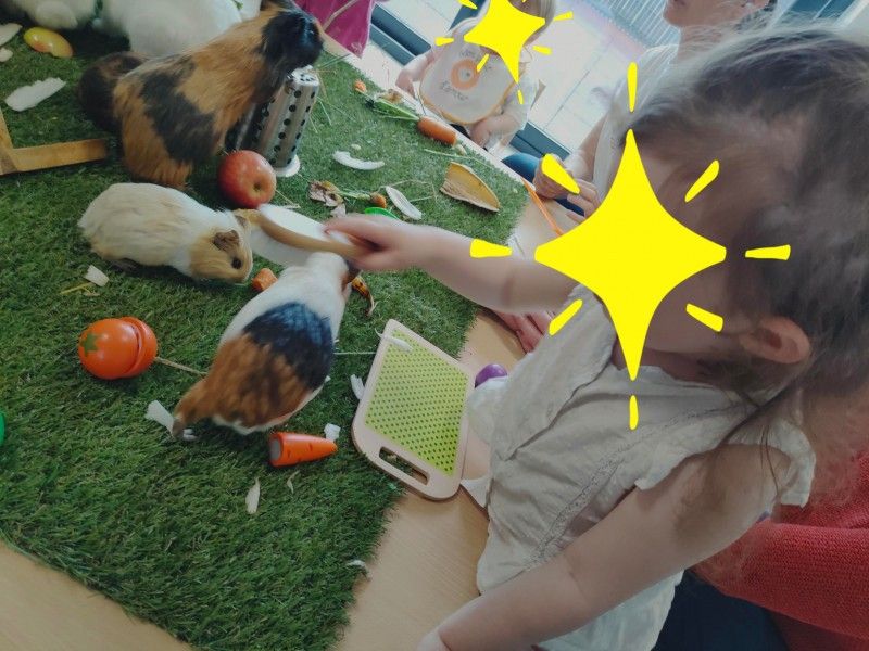 Micro-crèche Pirouettes & Cabrioles des Chérubins