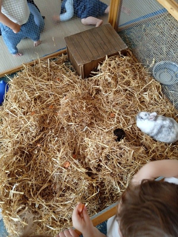 DOUDOU ET LES CHERUBINS DE VILLENEUVE EN RETZ