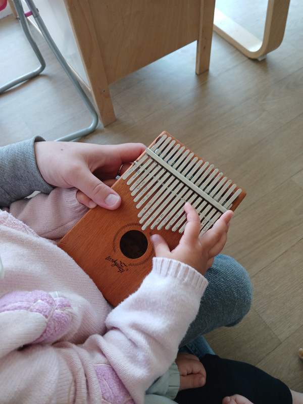 Micro-crèche DOUDOU ET LES CHERUBINS DE VILLENEUVE EN RETZ