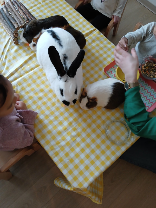 Micro-crèche DOUDOU ET LES CHERUBINS DE VILLENEUVE EN RETZ