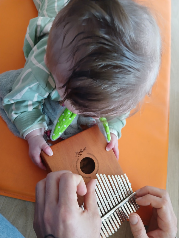 Micro-crèche DOUDOU ET LES CHERUBINS DE VILLENEUVE EN RETZ