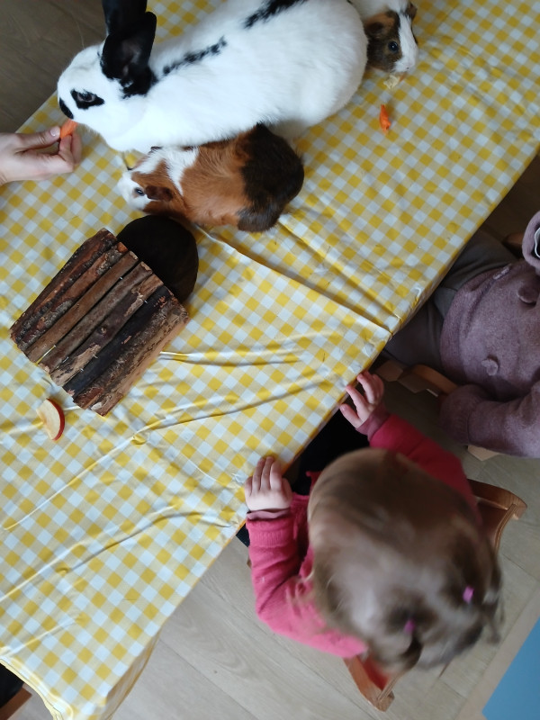 Micro-crèche DOUDOU ET LES CHERUBINS DE VILLENEUVE EN RETZ
