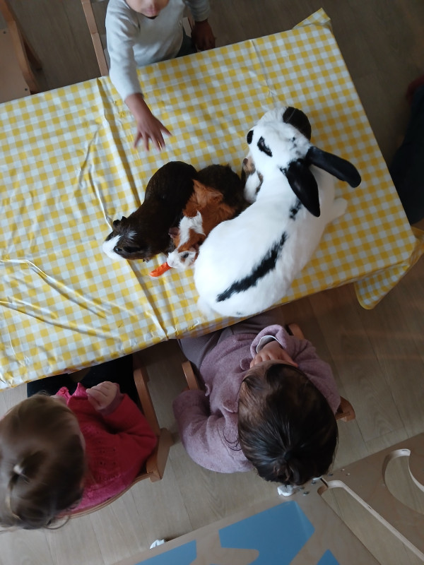 Micro-crèche DOUDOU ET LES CHERUBINS DE VILLENEUVE EN RETZ