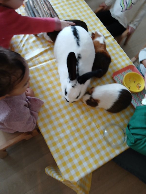 Micro-crèche DOUDOU ET LES CHERUBINS DE VILLENEUVE EN RETZ