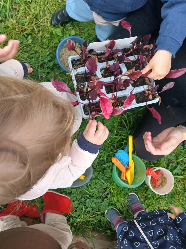 Micro-crèche DOUDOU ET LES CHERUBINS DE VILLENEUVE EN RETZ