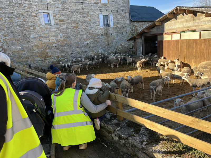 Micro-Crèche Les Chérubins d'Angèle